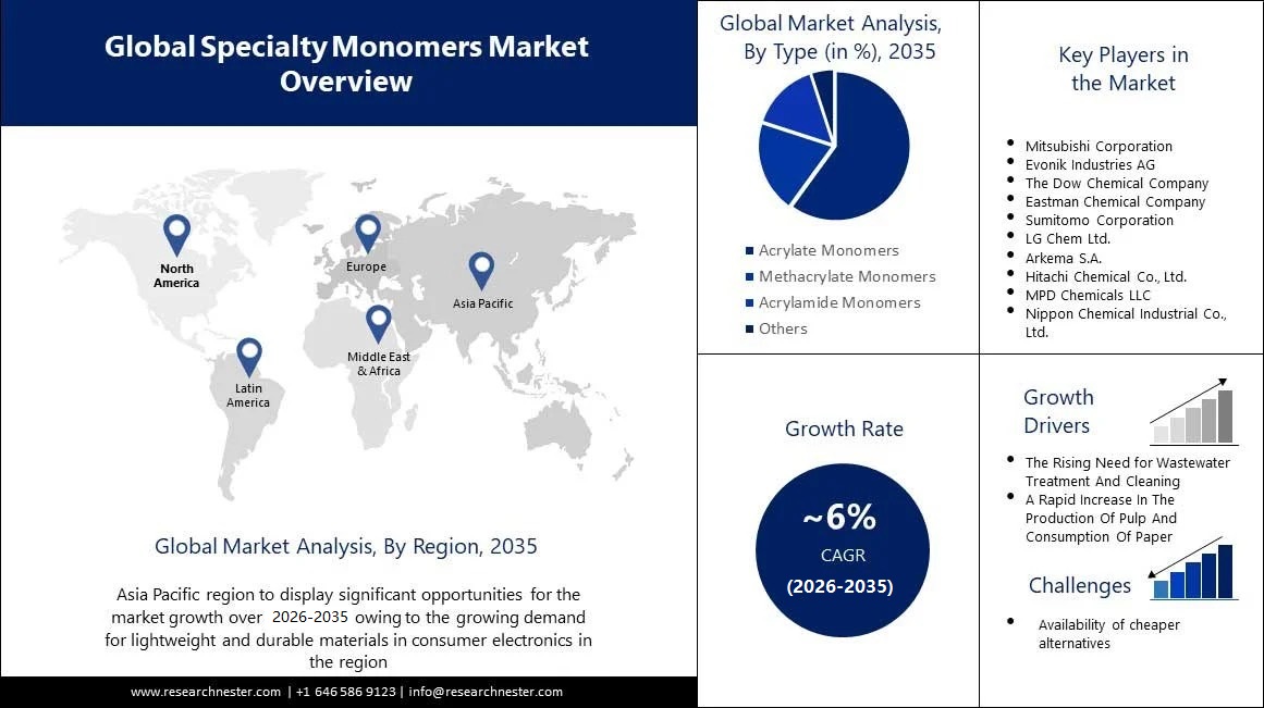 Specialty Monomers Market